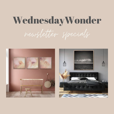 Wednesday Wonder Newsletter specials