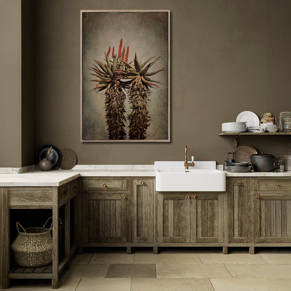 Mountain Aloes - 1x A0 Art Print, no.1