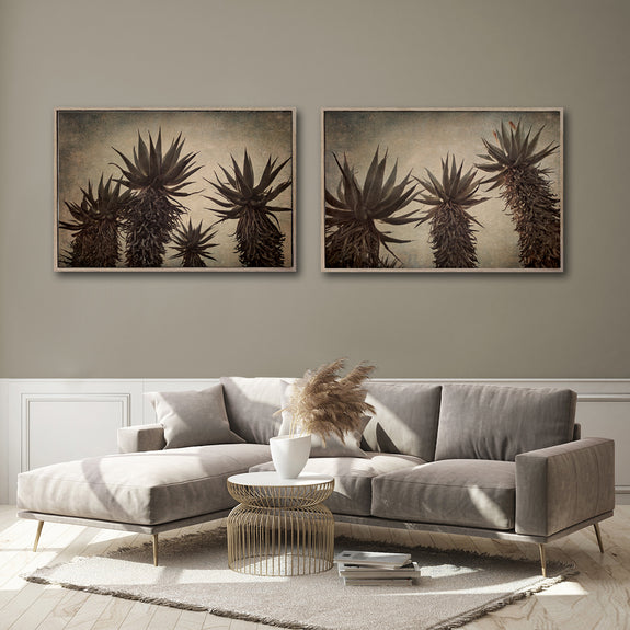 Mountain Aloes - 2x Large Art Prints, LS