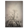 Here and There - 2x Large Art prints, set 1