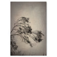 Here and There - 2x Large Art prints, set 1
