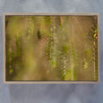 Hidden Kingdom - 2x Large Art Prints (LS2)