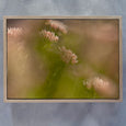 Hidden Kingdom - 2x Large Art Prints (LS1)