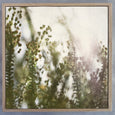 Hidden Kingdom Sqr2 - 100x100cm Art Print