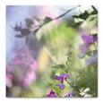 Hidden Kingdom - 2x square Art Prints, set 1