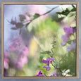 Hidden Kingdom - 2x square Art Prints, set 1