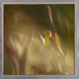 Hidden Kingdom Sqr6