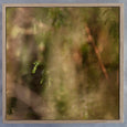 Hidden Kingdom Sqr7 - 100x100cm Art Print