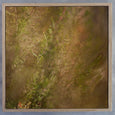 Hidden Kingdom Sqr8