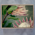 King of the Field - 2x Large Art prints, LS set 2