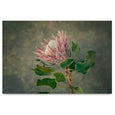 King of the Field - 2x Large Art prints, LS set 2