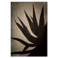 Mountain Aloes - 2x Large Art Prints, set 2