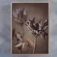 Resilient Reverie - 2x Large Art prints, set 3