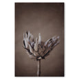 Resilient Reverie - 1x A0 Art print (P)
