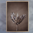 Resilient Reverie - 2x Large Art prints, set 3