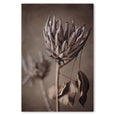 Resilient Reverie - 2x Large Art prints, set 2