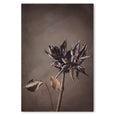 Resilient Reverie - 2x Large Art prints, set 2