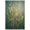 Wildflower - 2x Large Art prints, set 1