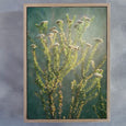 Wildflower - 2x Large Art prints, set 1