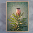 Wildflower - 6x A3 Art prints