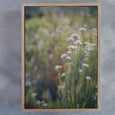 Wildflower Textures - 2x Large Art prints