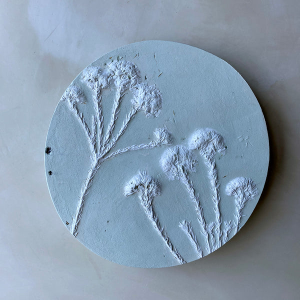 Original Botanical Cast - Sage Rounds 2