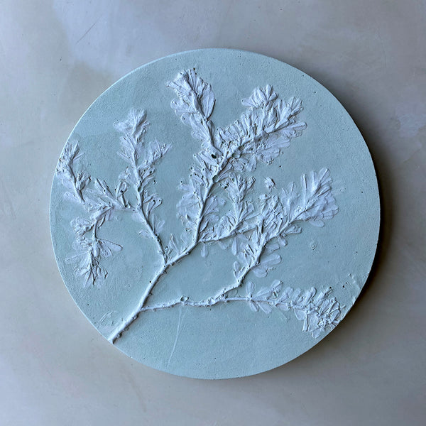 Original Botanical Cast - Sage Rounds 3