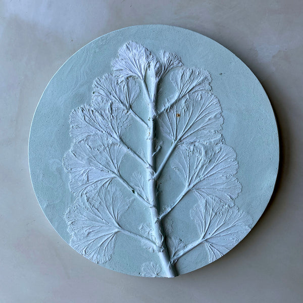 Original Botanical Cast - Sage Rounds 4