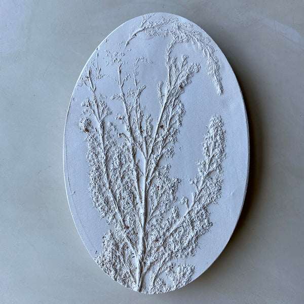 Original Botanical Cast - Mini Ovals 2024 - no7