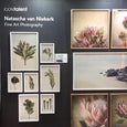 Fynbos Garden Gallery wall - 7x Medium Art prints