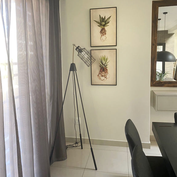 Succulent Study
