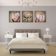 Protea Still - 3x Square Art prints, set 1