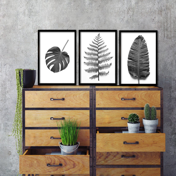 B&W Greenery - 3x A3 Art prints