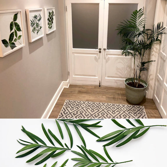 Leaves
