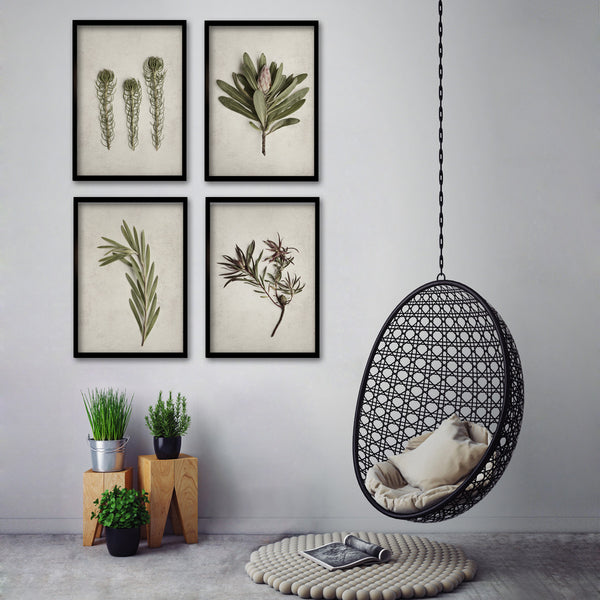 Fynbos Garden Gallery Wall - 4x A2 Art prints