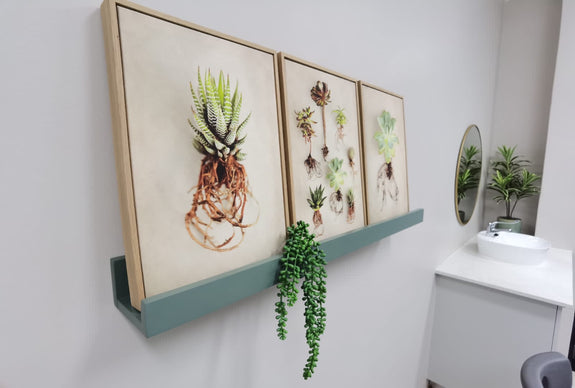 Succulent Study