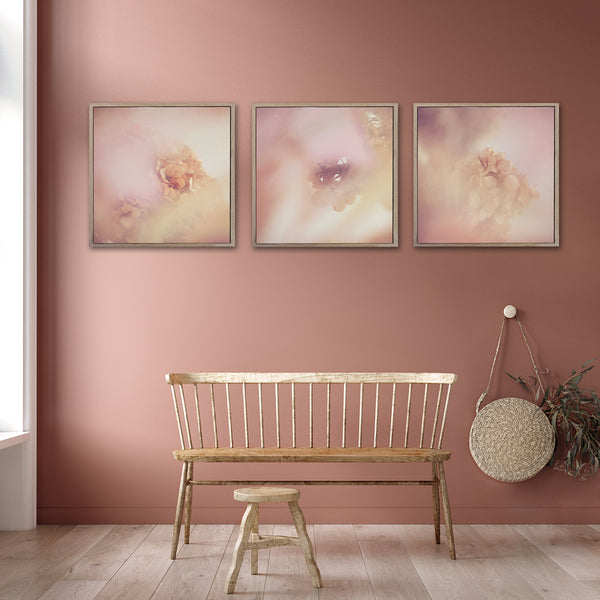 Blush Dreams - 3x Square Art prints