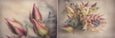 Blushing Brides - 2x Large Art prints (L)