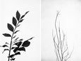 Land Ink - 2x Large Art prints