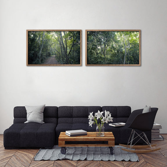Crazy Forest - 2x Large Art prints