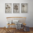 Everlasting - 3x A2 Art prints