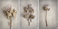 Everlasting PT - 100x150cm Art print