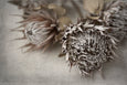 Everlasting - 2x Large Art prints (L)
