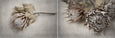 Everlasting - 2x Large Art prints (L)