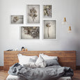 Everlasting Gallery wall - 5x Art prints