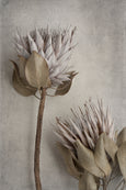 Everlasting - 2x Large Art prints, set 5