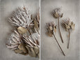 Everlasting - 2x Large Art prints, set 4