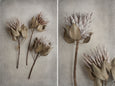 Everlasting - 2x Large Art prints, set 5