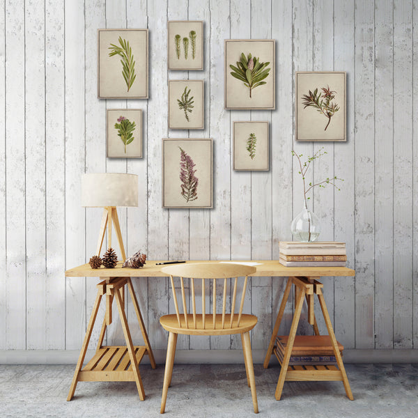 Fynbos Garden Gallery Wall - 8x Art prints, set 1