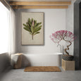 Fynbos Garden 2